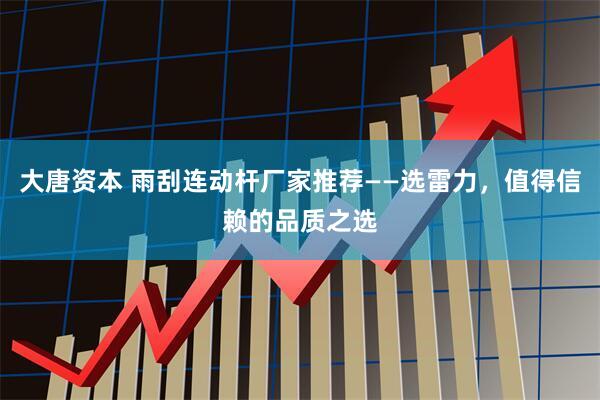 大唐资本 雨刮连动杆厂家推荐——选雷力，值得信赖的品质之选