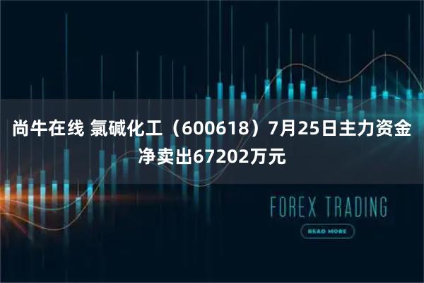 尚牛在线 氯碱化工（600618）7月25日主力资金净卖出67202万元