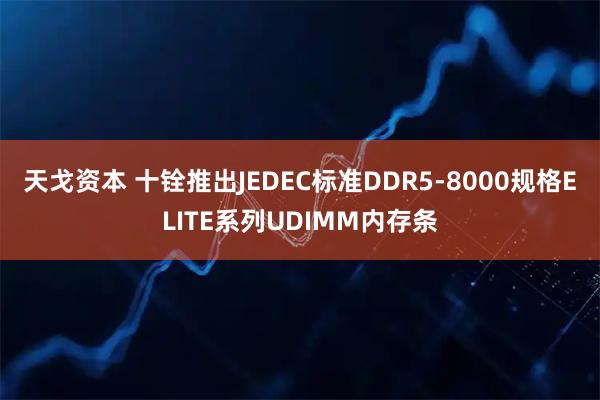 天戈资本 十铨推出JEDEC标准DDR5-8000规格ELITE系列UDIMM内存条