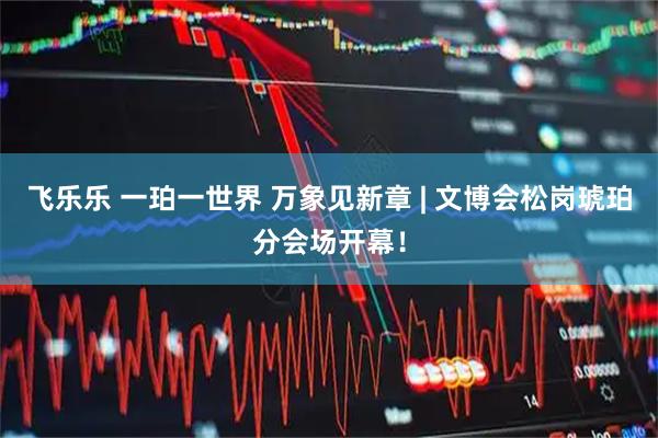 飞乐乐 一珀一世界 万象见新章 | 文博会松岗琥珀分会场开幕！